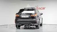 2019 Lexus RX