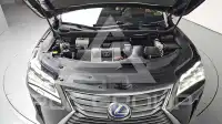 2019 Lexus RX