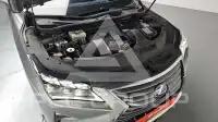 2019 Lexus RX