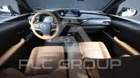 2019 Lexus UX