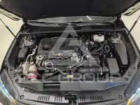 2019 Toyota Avalon