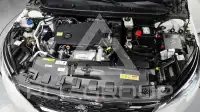 2019 Peugeot 308