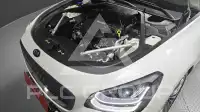 2019 KIA K9