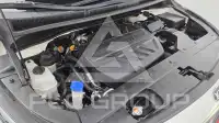 2019 KIA Carnival