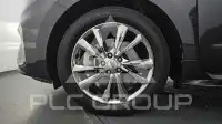2019 KIA Carnival