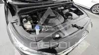2019 KIA Carnival
