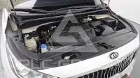 2019 KIA Carnival