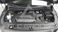 2019 KIA Carnival
