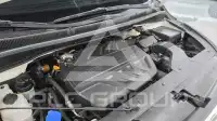 2019 KIA Carnival