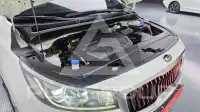 2019 KIA Carnival
