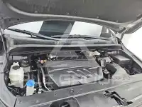 2019 KIA Carnival