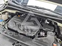 2019 KIA Carnival