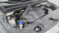 2019 KIA Carnival