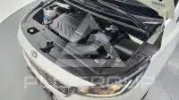 2019 KIA Carnival