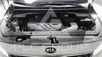 2019 KIA Carnival