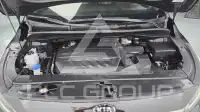 2019 KIA Carnival
