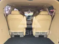 2019 KIA Carnival