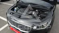 2019 KIA Carnival