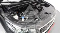 2019 KIA Carnival