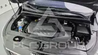 2019 KIA Carnival