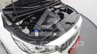2019 KIA Carnival