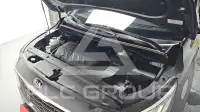 2019 KIA Carnival
