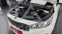 2019 KIA Carnival