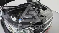 2019 KIA Carnival