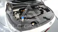 2019 KIA Carnival