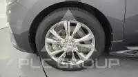 2019 KIA Carnival