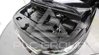 2019 KIA Carnival