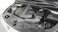 2019 KIA Carnival