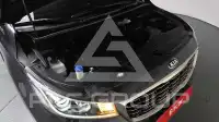 2019 KIA Carnival