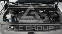 2019 KIA Carnival