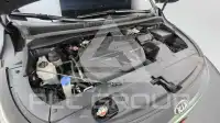 2019 KIA Carnival