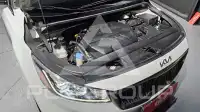 2019 KIA Carnival