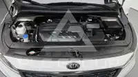2019 KIA Carnival