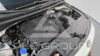 2019 KIA Carnival