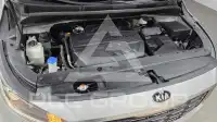 2019 KIA Carnival