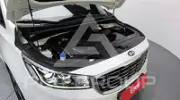 2019 KIA Carnival