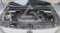 2019 KIA Carnival