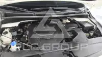 2019 KIA Carnival