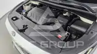 2019 KIA Carnival