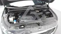 2019 KIA Carnival