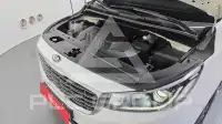 2019 KIA Carnival