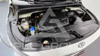 2019 KIA Carnival
