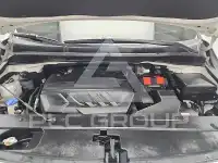 2019 KIA Carnival
