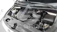 2019 KIA Carnival