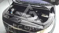 2019 KIA Carnival