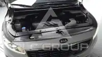 2019 KIA Carnival